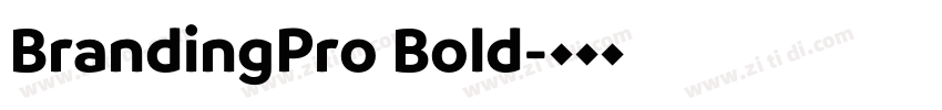 BrandingPro Bold字体转换